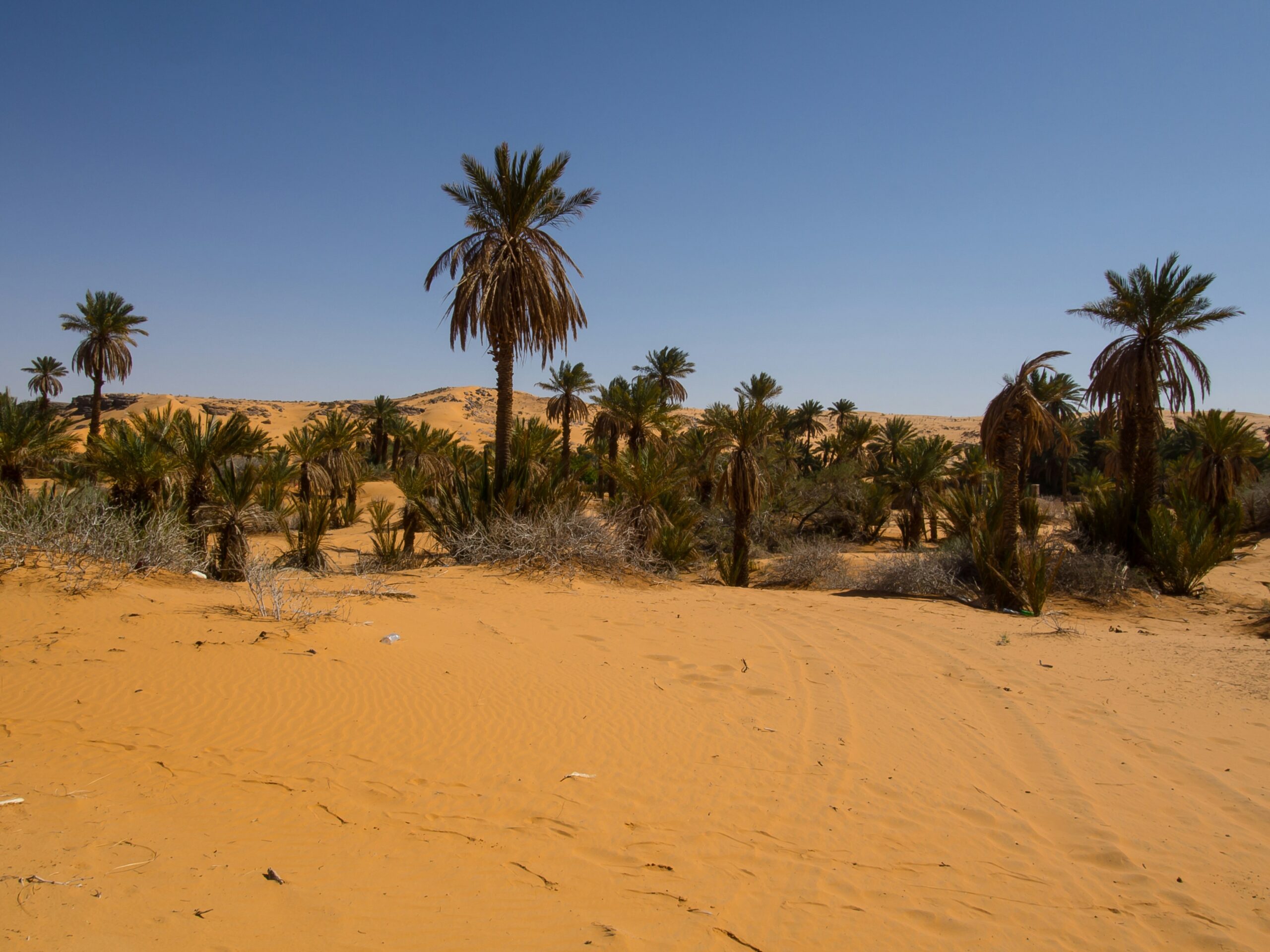 صورة بارزة مرحبًا بالعالم